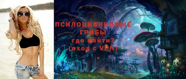 стафф Пересвет