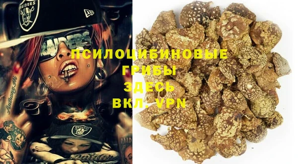 стафф Пересвет